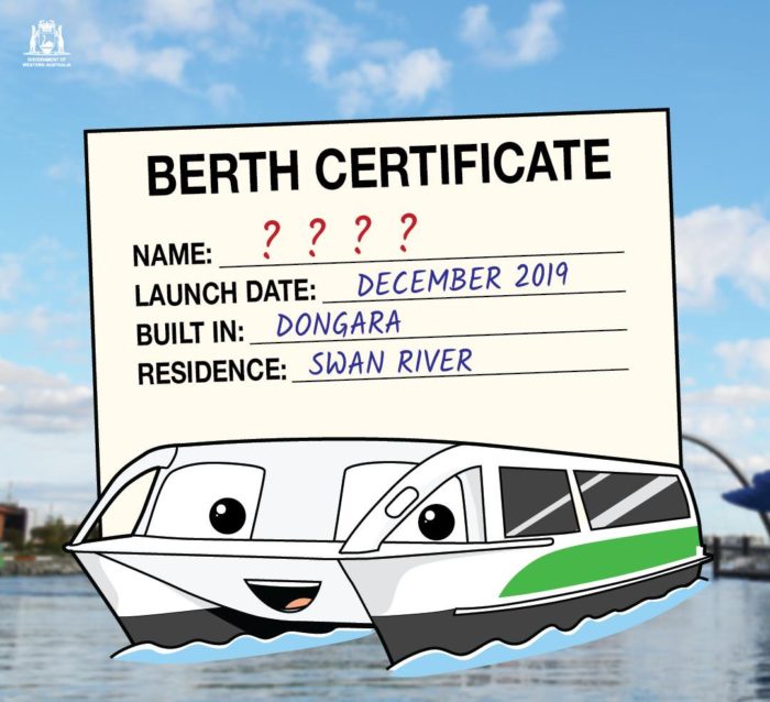 Ferry name suggestions birth certificate cartoon