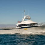 New Southerly crayboat Force of Nature for Geraldton lobster fishing